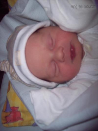 100_9589.JPG