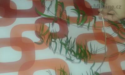 20150507_113421.jpg