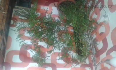 20150507_113501.jpg