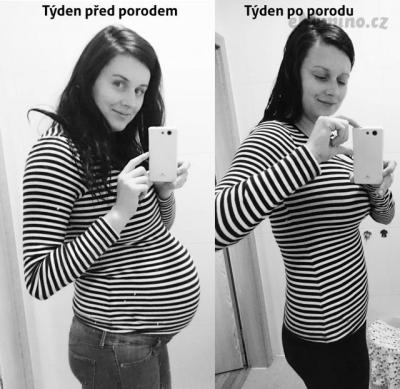 pred_po.jpg
