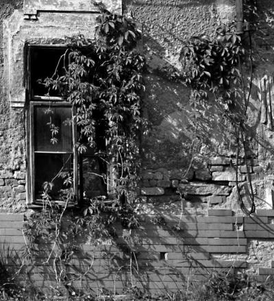 DSC_0622xčb1.jpg