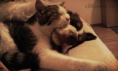2015-03-22_07.57.53.jpg