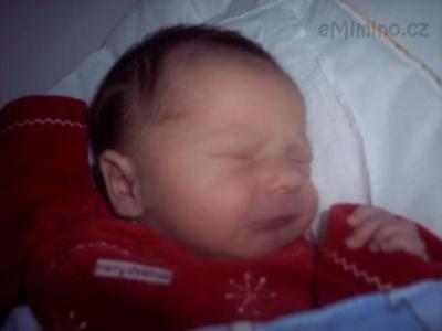 100_9645.JPG