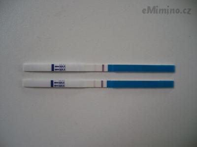 100_4089.JPG