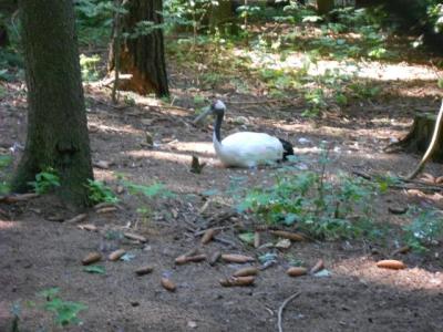 DSCN1080.JPG