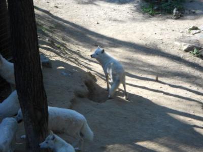 DSCN1090.JPG
