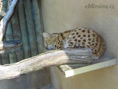 DSCN1104.JPG