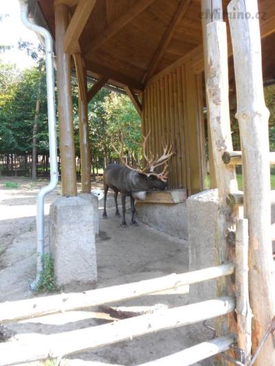 DSCN1127.JPG
