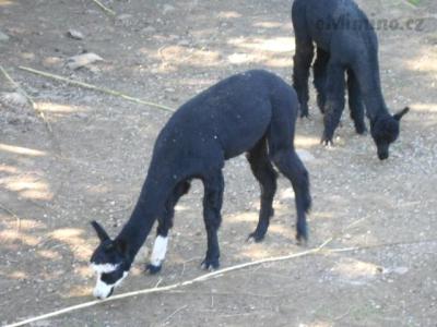 DSCN1196.JPG