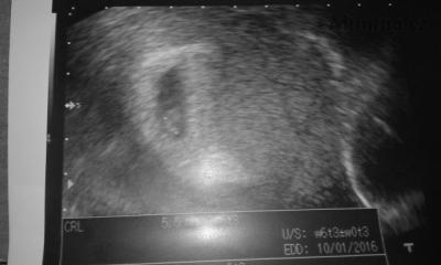 20150520_112012.jpg