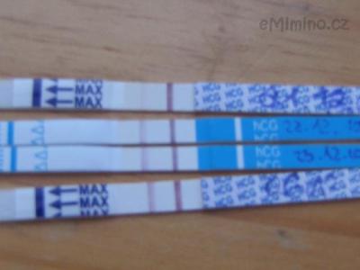 zima 015.jpg