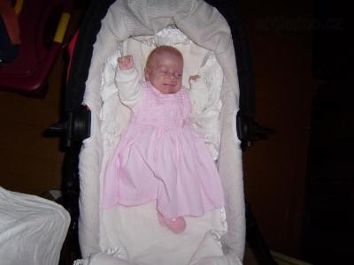2010 033.jpg