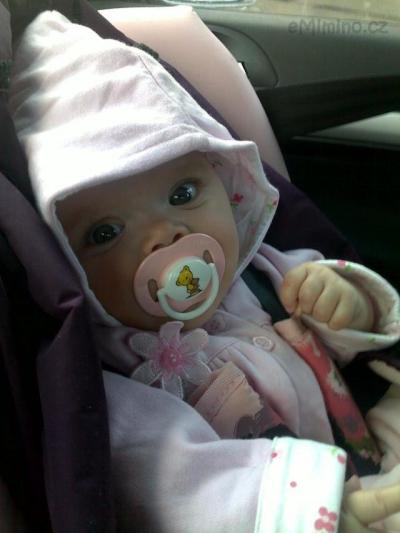 01022010110.jpg