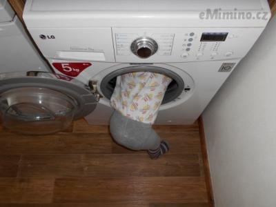 DSCN0310.JPG