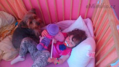 IMG_20150509_124741.jpg