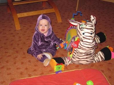 Zebra od babičky
