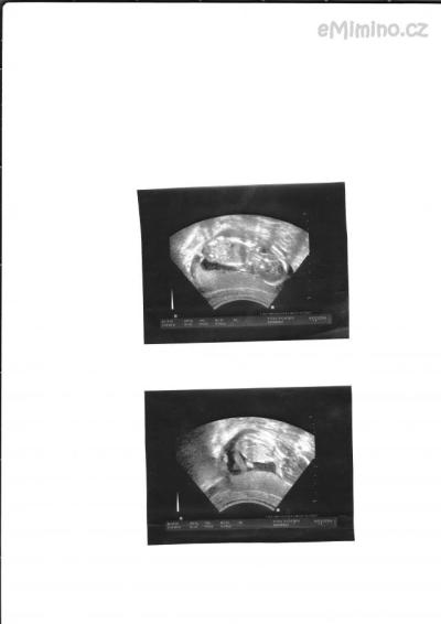 IMG.jpg