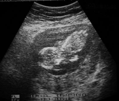 IMG (2).jpg