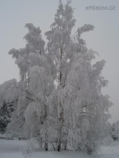 57)VÁNOCE A SILVESTR 2010 081.jpg