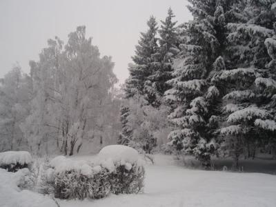 57)VÁNOCE A SILVESTR 2010 082.jpg
