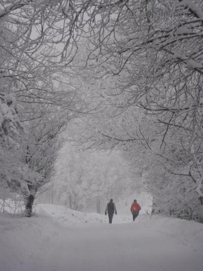 57)VÁNOCE A SILVESTR 2010 095.jpg