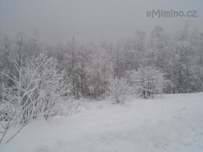 57)VÁNOCE A SILVESTR 2010 083.jpg