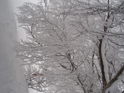 57)VÁNOCE A SILVESTR 2010 094.jpg