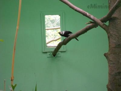 DSCN0125.JPG