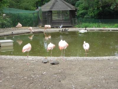 DSCN0135.JPG