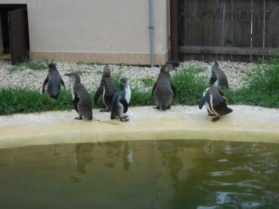 DSCN0136.JPG