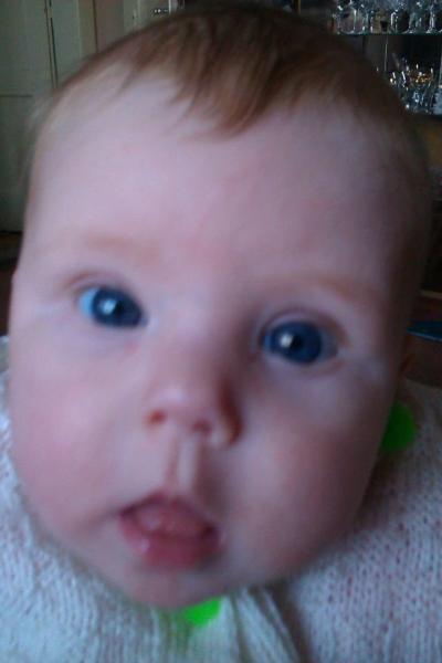 IMAG0322.jpg