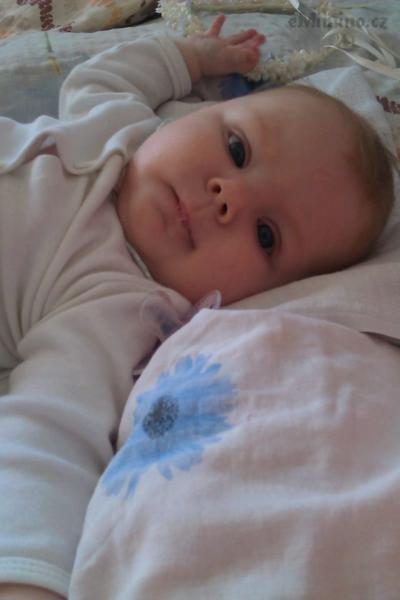 IMAG0280.jpg