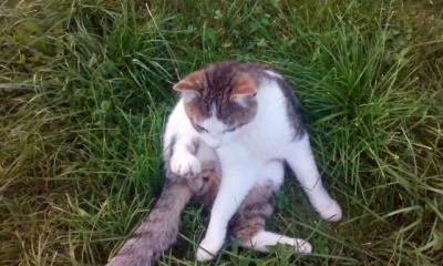 IMG_20150704_203545.jpg