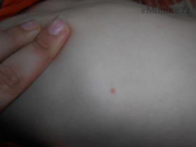 DSCN5264.JPG