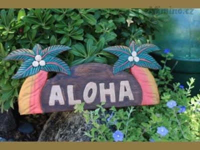 imgrc0063855302aloha.jpg