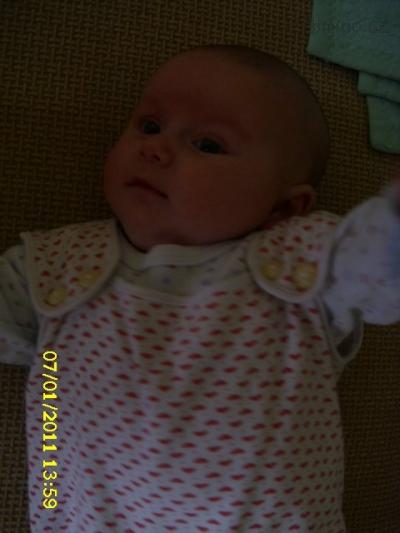 IMG_1210.JPG