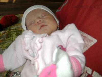 PICT0116.JPG