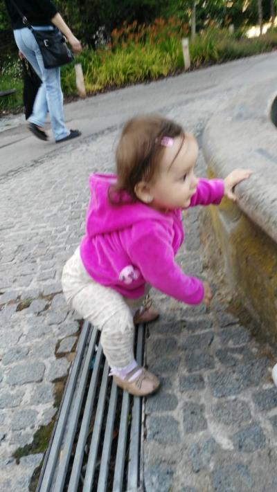 IMG_20150730_194552.jpg