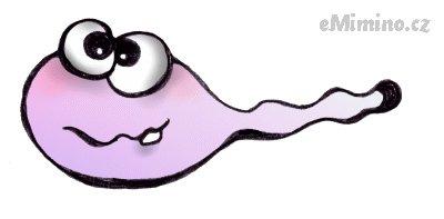 spermie4.gif