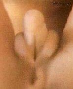 290031.jpg