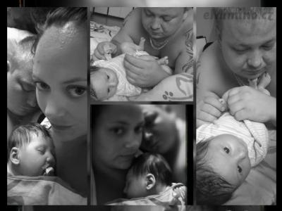 collage-1439746531640.jpg