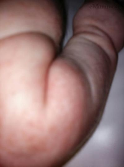 9f73511ebe1feacd018ed2254f3a77b4fb1843d1.jpg