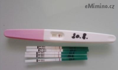 3416706.jpg