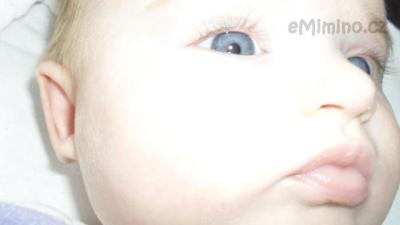 sofinka2011unor 038.jpg