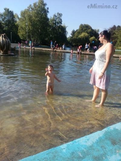 IMG_20150830_162358.jpg
