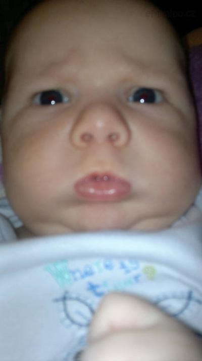 bububu