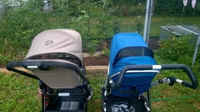 WP_20150715_11_45_15_Pro.jpg