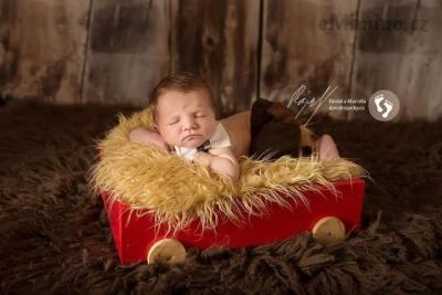 11998926_10206253395431189_8532215765563714861_n.jpg