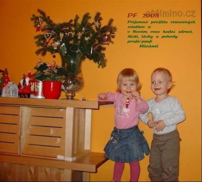 PF 2008