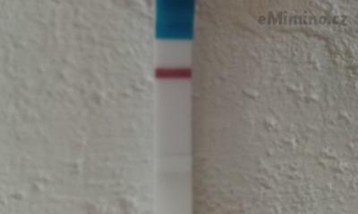 test.jpg